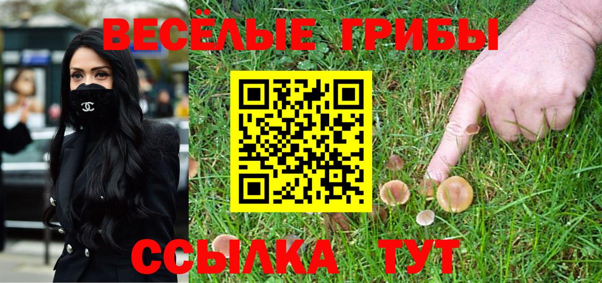 Галлюциногенные грибы MAGIC MUSHROOMS Санкт-Петербург