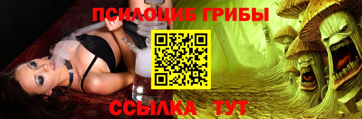 купить   Вход с VPN  Санкт-Петербург  Галлюциногенные грибы Cubensis 