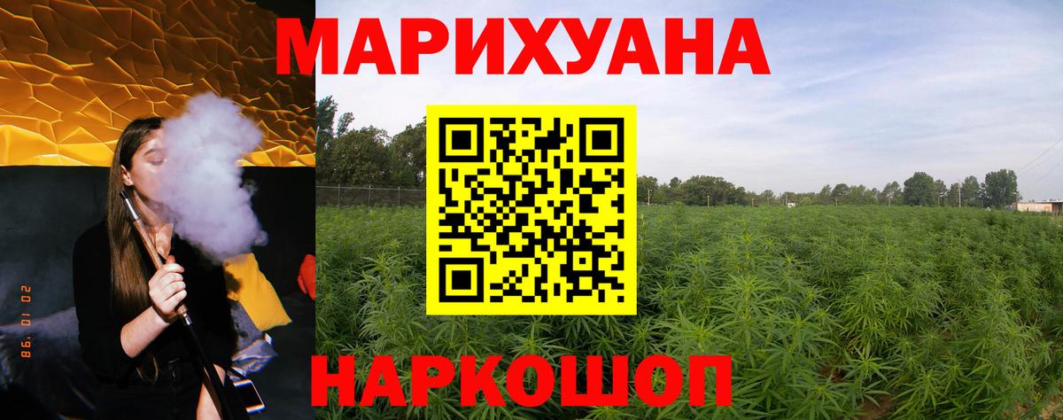 Конопля индика Санкт-Петербург